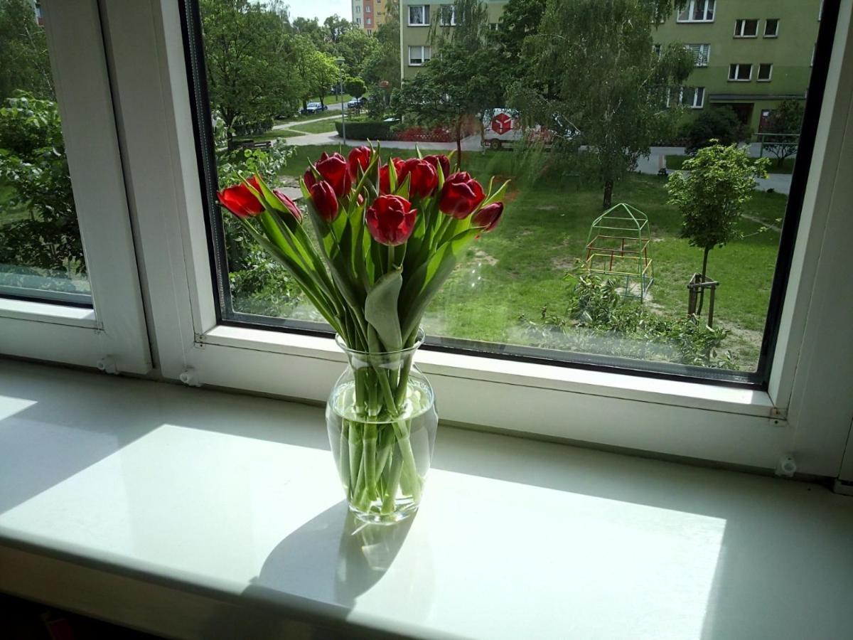 Apartament Usmiech Płock Esterno foto