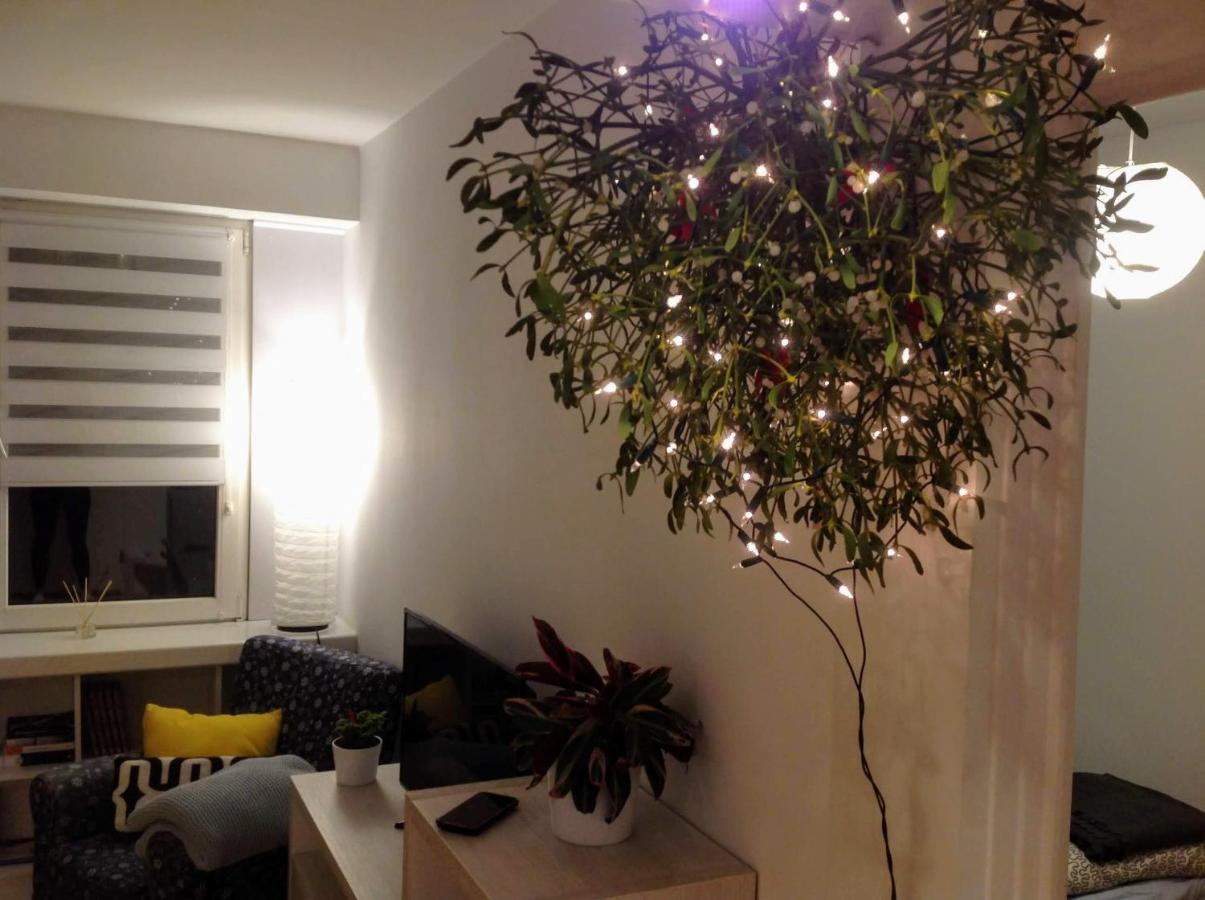 Apartament Usmiech Płock Esterno foto